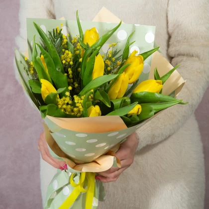 Желтые тюльпаны (9) с мимозой