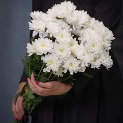 Букет из 6 белых кустовых хризантем